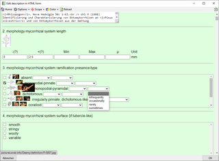 Integrated HTML form editor